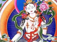 属马的本命佛 生肖马的本命佛