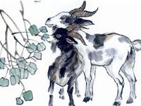 2015年属什么，2015年属相