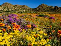 Geo老师一周星座运势（2015.5.17-5.23）