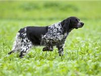 狂月一周星座运程(2015.5.18-5.24)