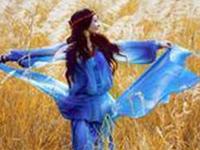 你为何迟迟找不到爱