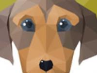 2015下半年生肖狗财运解析