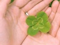 农历五月十二生肖贵人盘点