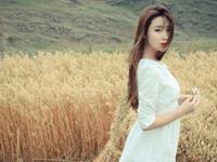 浮图塔一周生肖运势（2015.6.22-6.28）