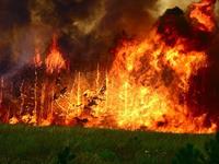 梦见火灾的心理学解梦