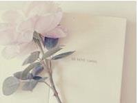 爱情会让你失去理智？