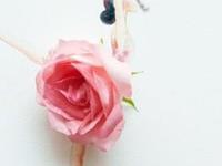 李建军一周生肖运势（8.9-8.15）