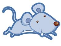 属鼠的人2016年每月运程