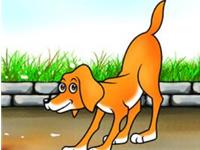 属狗的人2016年每月运程