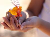 如萱占卜2015年10月射手座运势