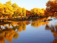 农历九月生肖运势冠军榜