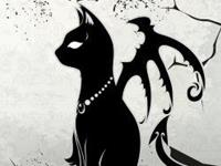 猫石对话2016年运势