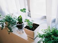 一份联想公司的测试题