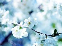 前任、现任你更爱哪一个？