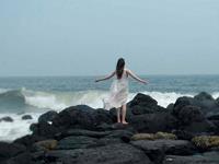 Tracy Lee一周塔罗运势（11.02-11.08）