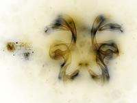 双子男千万不能碰的死穴