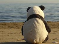 孤独是这些生肖不能接受的