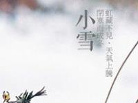 生肖鸡小雪养生开运指南
