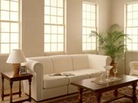 调理风水让你2016飞黄腾达