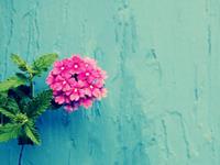 测试你对爱情的期望