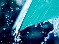 测测你有多自恋？