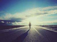 郑博士2016年十二生肖运势