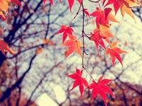 测试你的痴情指数