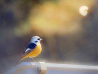 紫微斗数看爱自寻烦恼的人