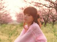 2016年生肖龙桃花攻略