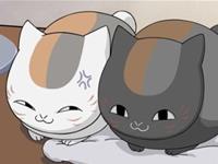 哪些星座的双重人格最明显