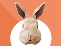 十二月生肖兔运程点评