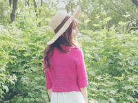 苏民峰2016年生肖猪运势