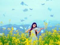 熊神进2016年猴年马生肖运程