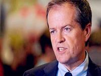 紫微斗数看谁易被人利用