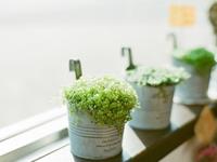 张盛舒本周健康运(12.27-1.2)