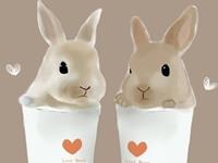 哪些星座最有爱心