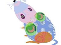 1月生肖鼠无节操宜忌