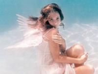 静电鱼2016年射手座运势