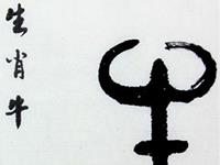 爱情中生肖牛的风格