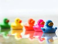 12星座中哪些星座比较“傻”