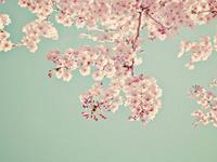 佩妮2016年双鱼座运势