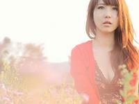 山水清澈2016年双子座运势