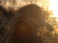 山水清澈2016年生肖虎运势