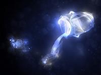 揭秘水瓶座的理财作风