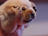 占卜你在为谁赚钱