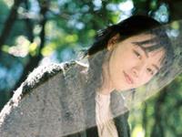 浮图塔一周生肖运势（2.1-2.7）