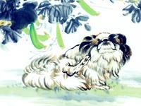 2016属狗人的作为