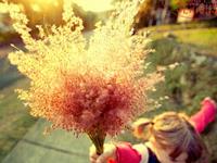 肖百奇属龙的人2016年整体运势