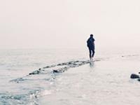 肖百奇属狗的人2016年整体运势