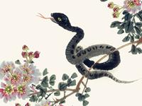 2016属蛇人的作为